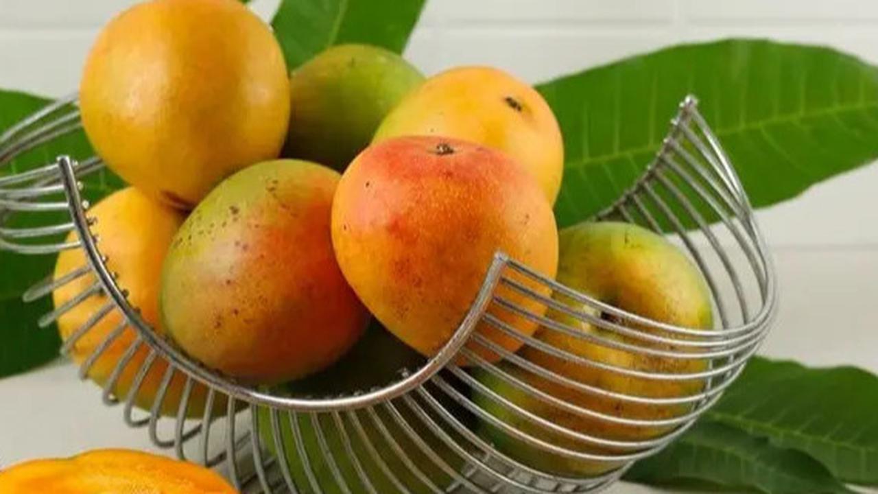 5 Tips Menyimpan Buah Agar Tidak Cepat Busuk dan Tetap Segar Lebih Lama