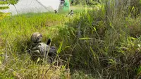 Satgas Operasi Damai Cartenz (Istimewa)
