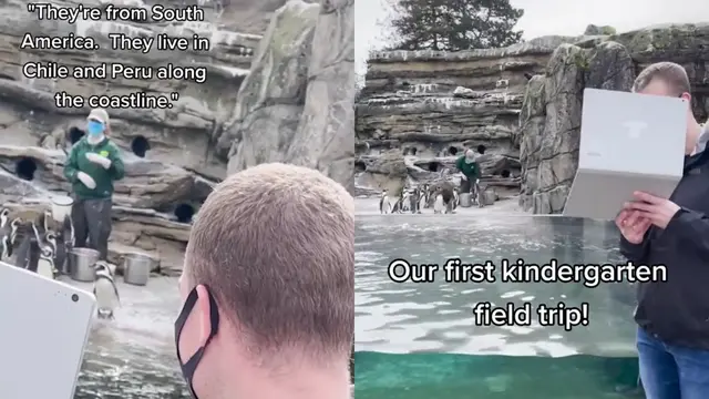 Cara kreatif seorang guru TK mengenalkan nama-nama binatang dengan mengajak muridnya berkeliling kebun binatang secara virtual.