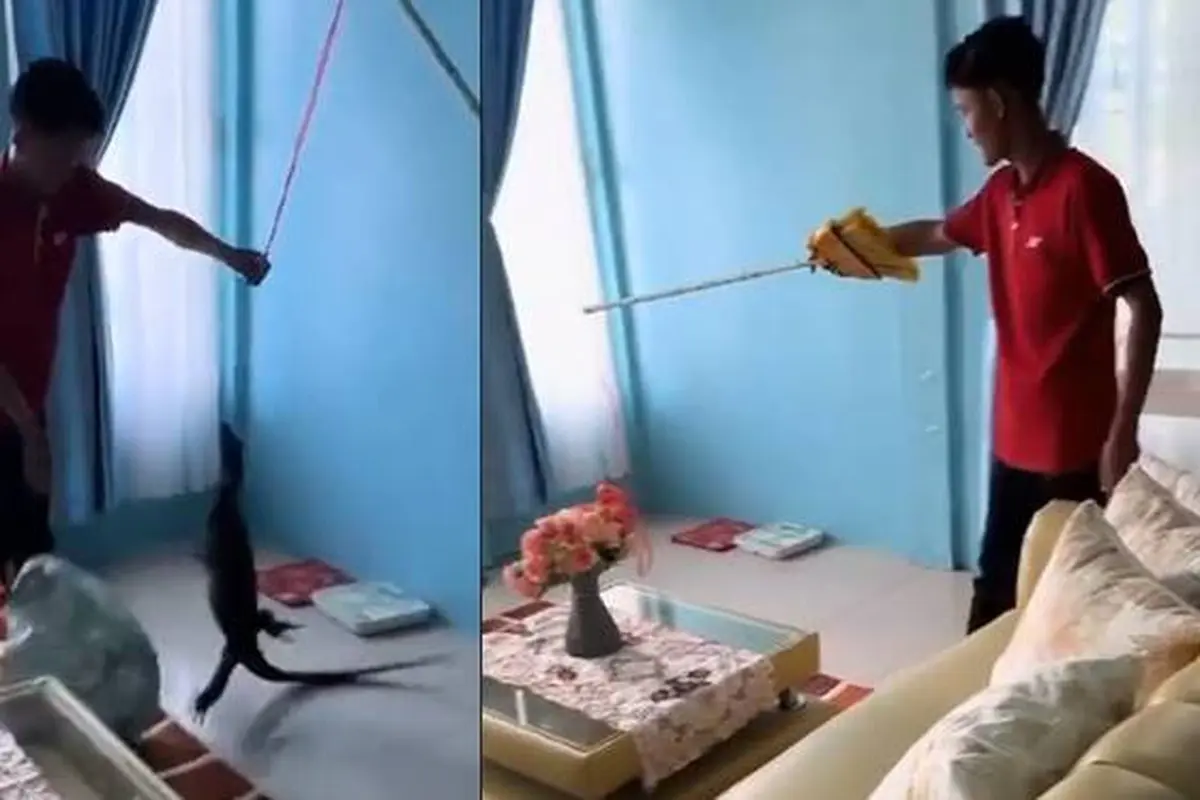 Serba Bisa, Momen Kurir Bantu Tangkap Biawak Panen Pujian