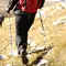 Pilihan Tongkat Hiking Terbaik agar Pendakian Lebih Nyaman dan Minim Kelelahan