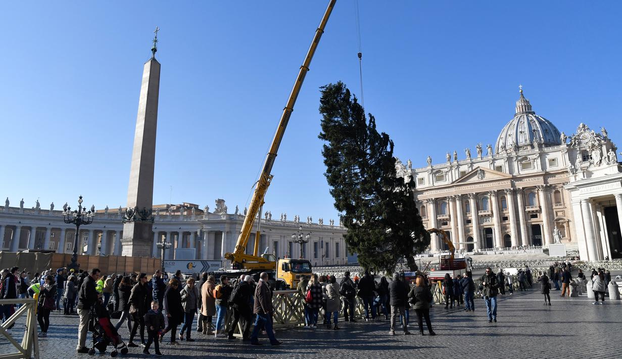 Sejumlah orang melihat alat berat yang dikerahkan untuk mendirikan pohon Natal raksasa di Alun-alun Santo Petrus, Vatikan, Kamis (23/11). Pohon Natal yang didatangkan dari Polandia ini tingginya mencapai 28 meter. (AP Photo/Andrew Medichini)