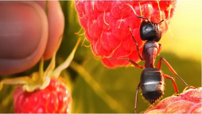 Foto: Copyright ThinkStockPhotos.com