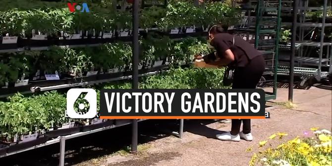 VIDEO: Kembalinya Tradisi Kebun Sayur Mandiri Victory Gardens