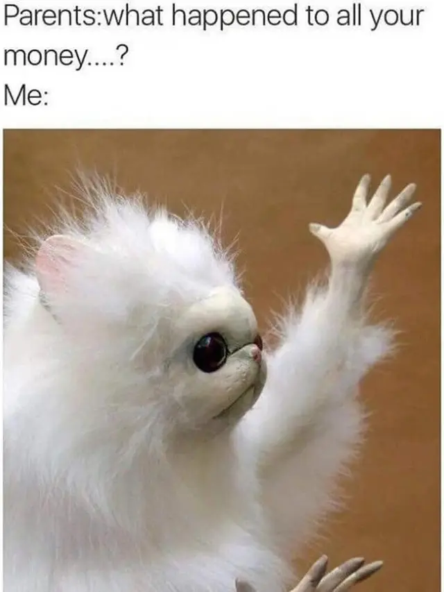 Meme Kocak Tentang Kehidupan Mahasiswa Ini sangat Relatable