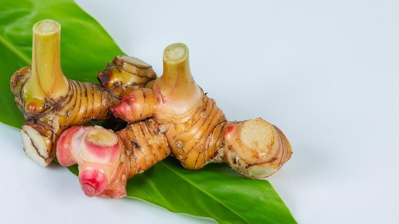 6 Manfaat Lengkuas untuk Kesehatan Pria, Salah Satunya Bisa Untuk Naikkan Gairah Seksual Pria