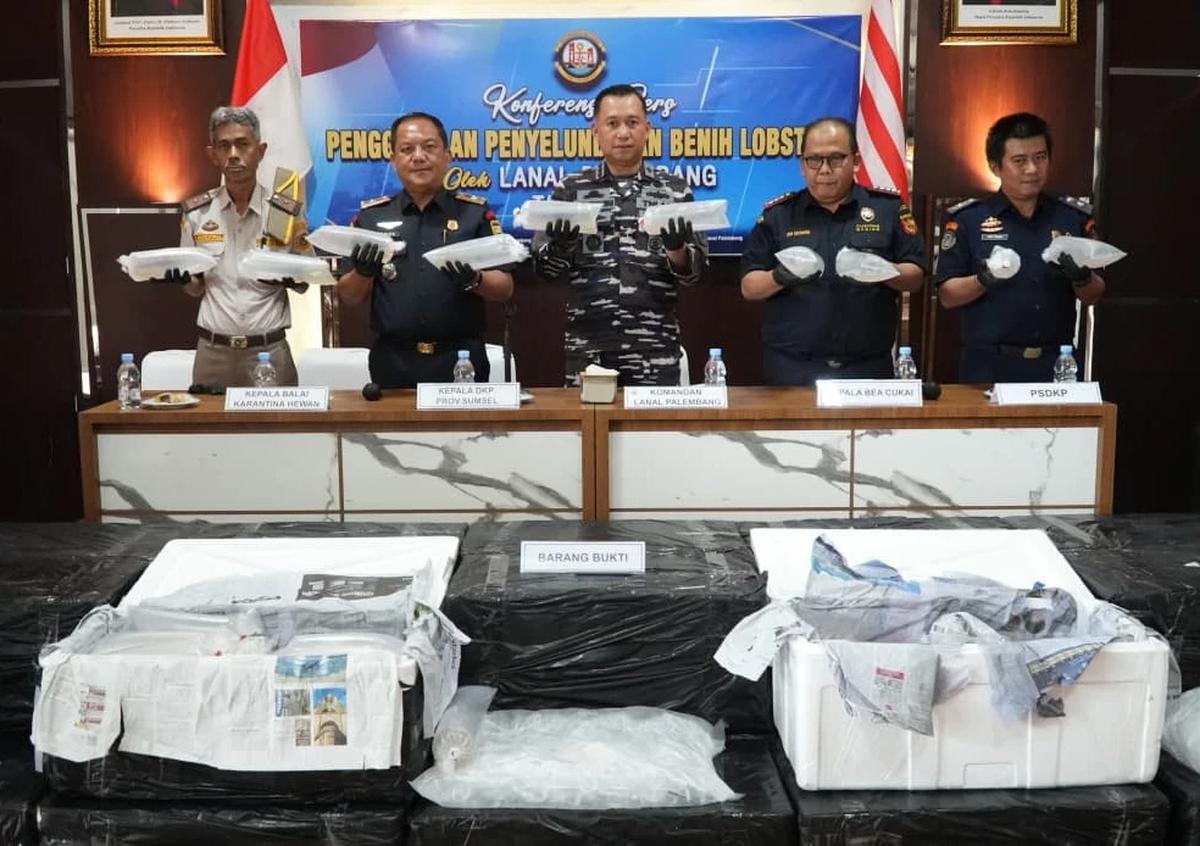 FOTO: TNI AL Gagalkan Penyelundupan Benih Lobster di Perairan Jambi
