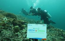BRI Menanam Grow & Green, Bangun Kesadaran Kelestarian Laut & Tingkatkan Pendapatan Nelayan