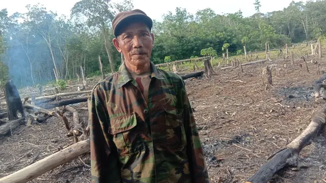 Alim 70 tahun, seorang peladang senior di Desa Sungai Enau, Kecamatan Kuala Mandor B, Kabupaten Kubu Raya, Kalimantan Barat, pada saat berada di lahan garapannya. Alim bilang, keluarganya harus terus meladang. (Foto: Liputan6.com/Aceng Mukaram)