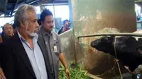 PM Timor Leste, Xanana Gusmao didampingi Wagub Jatim, Syaifullah Yusuf melihat sapi perah di peternakan Sekarsari, Pasuruan, Jatim, Jumat (10/9).(Antara) 