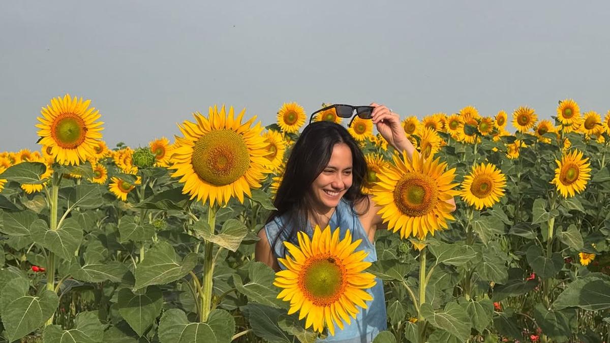 Gaya Kasual Stylish Pevita Pearce Berpose di Taman Bunga Matahari, Simpel tapi Tetap Memesona