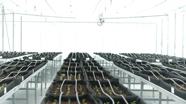 Taman Sains Teknologi Herbal dan Hortikultura (TSTH2) di Kabupaten Humbang Hasundutan, Sumatera Utara. (Foto: ekon.go.id)