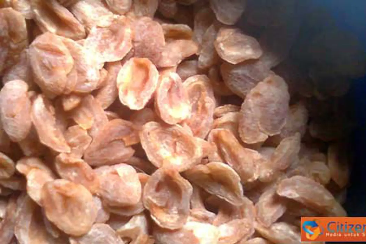 Aneka Makanan Hasil Olahan Buah Pala 