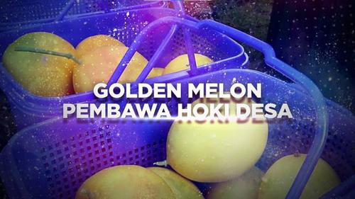 VIDEO BERANI BERUBAH: Golden Melon Pembawa Hoki Desa