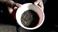 Sejak zaman Belanda hingga kini, proses pembuatan teh Kejek (bahasa Sunda berarti diinjak) menggunakan injakan kekuatan kaki itu masih berlangsung. (Liputan6.com/Jayadi Supriadin)