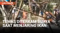Nelayan di Bangka Belitung Tewas Diterkam Buaya Saat Menjaring Ikan