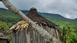 Rumah tradisional Papua atau honai di Distrik Puldama, Kabupaten Yahukimo, Provinsi Papua. Sebelumnya, dari generasi ke generasi tempat ini tak pernah tersentuh penerangan lampu listrik. (Liputan6.com/HO/Hadi M Juraid)