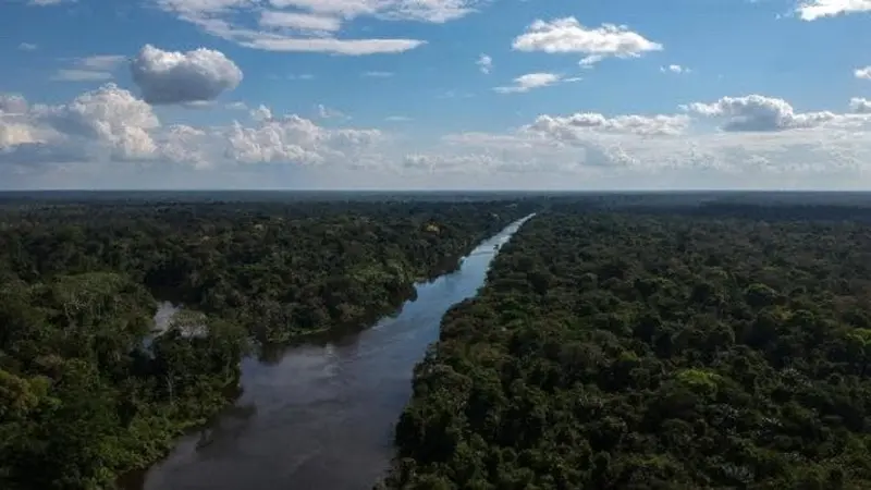 Kawasan Amazon