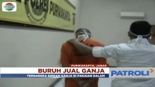 Buruh pria warga Jatiluhur, Purwakarta, dibekuk polisi saat sedang menunggu pembeli ganja.