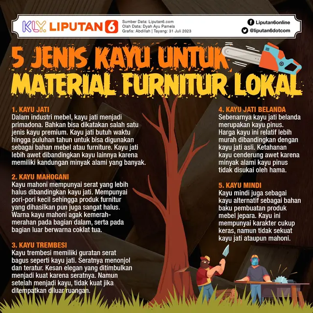 Infografis bahan material furnitur lokal