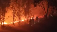 Petugas pemadam kebakaran berusaha memedamkan kebakaran hutan di Xichang, Provinsi Sichuan, China, Selasa (31/3/2020). Otoritas setempat mengungkapkan bahwa 19 orang tewas saat berupaya memadamkan kebakaran hutan di Sichuan. (STR/AFP)