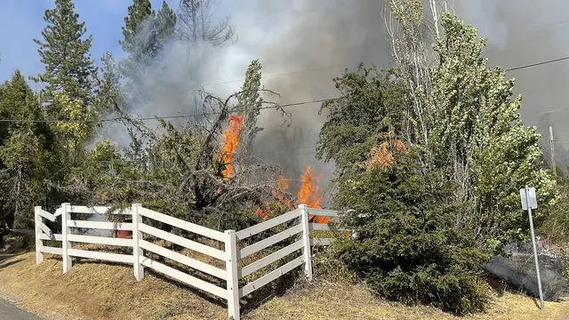 Penampakan Kebakarahan Hutan di California Utara