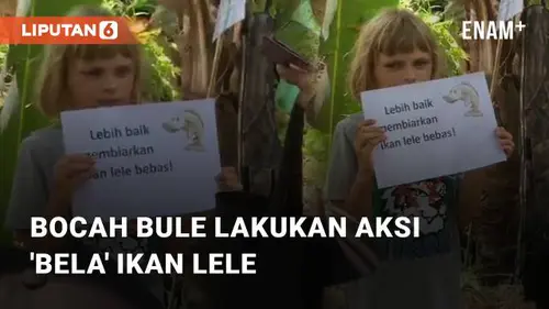 VIDEO: Viral Bocah Bule Lakukan Aksi 'Bela' Ikan Lele di Pemancingan