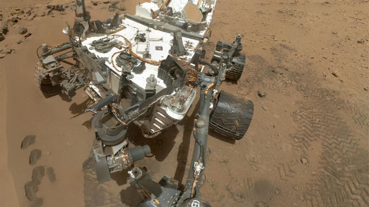 Curiosity narsis