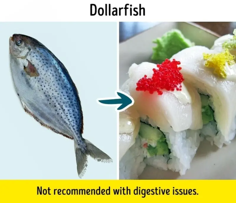 Ikan Dolar. Foto: Bright Side