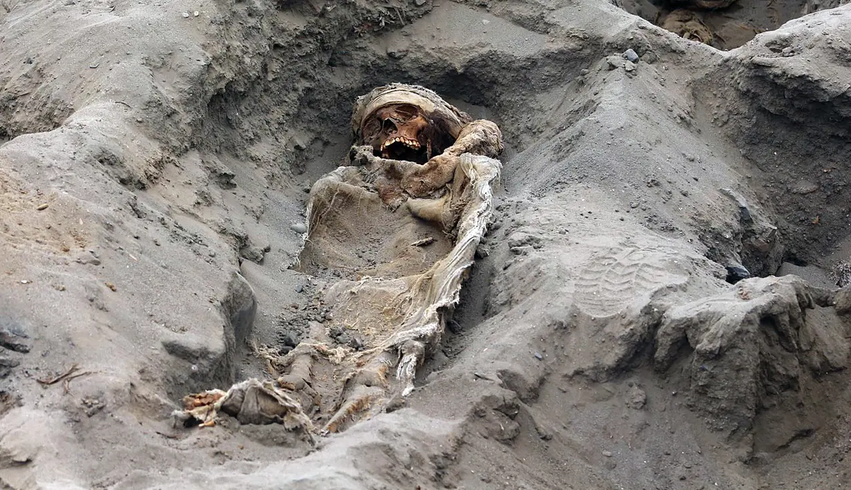 Gambar tak bertanggal memperlihatkan tulang belulang anak-anak yang ditemukan para arkeolog di Pampa La Cruz, sebuah kota pesisir Trujillo, Peru. Ditemukan sekitar 227 kerangka anak yang diduga menjadi korban ritual peradaban masa lampau tepatnya pada masa peradaban Chimu. (LUIS PUELL/ANDINA/AFP)
