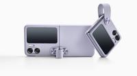 Oppo Find N2 Flip (Oppo)