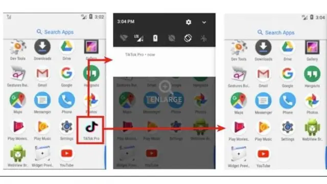 Aplikasi TikTok Palsu. Dok: mirror.co.uk