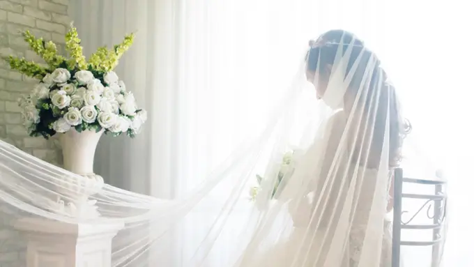 bridezilla dan kekerasan