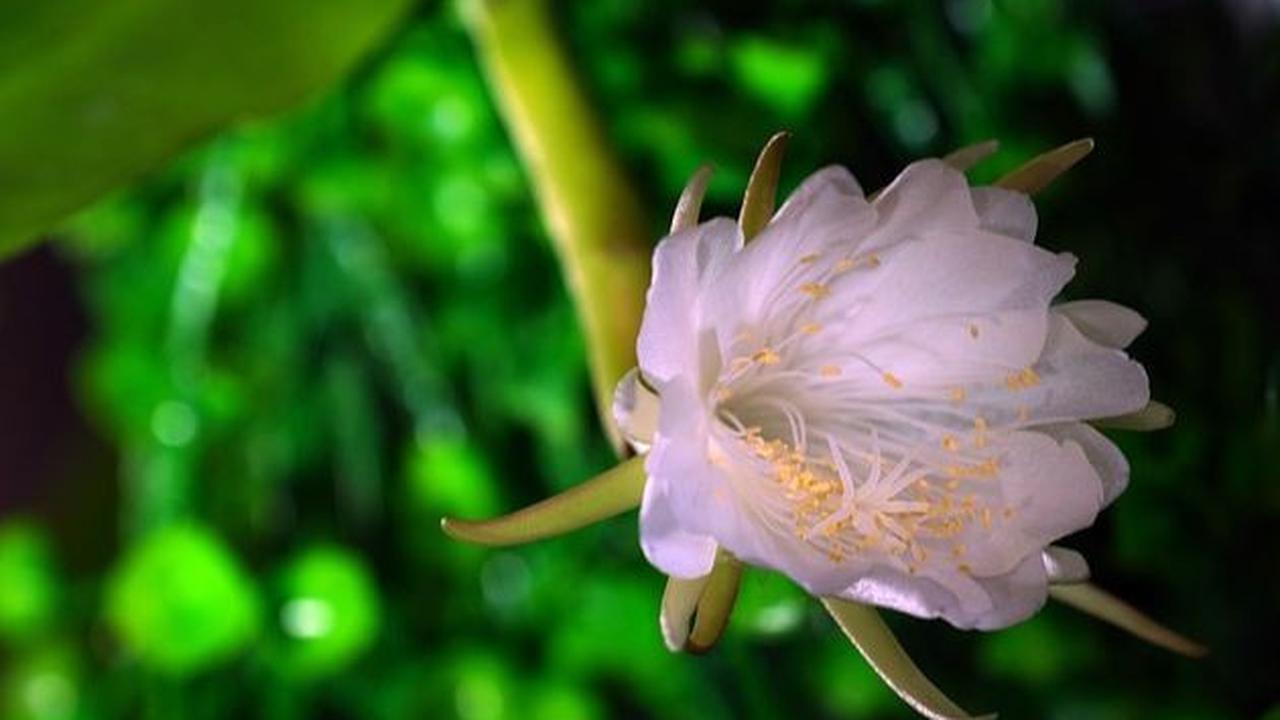 4. Melindungi dari Kesialan<br>
