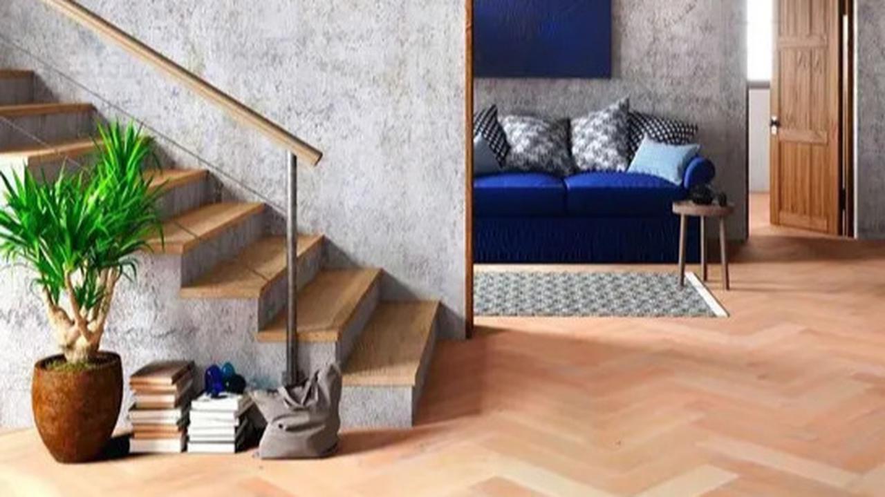 Awas! Ini Kondisi Rumah Yang Membuat Nyamuk Gemar Bersarang