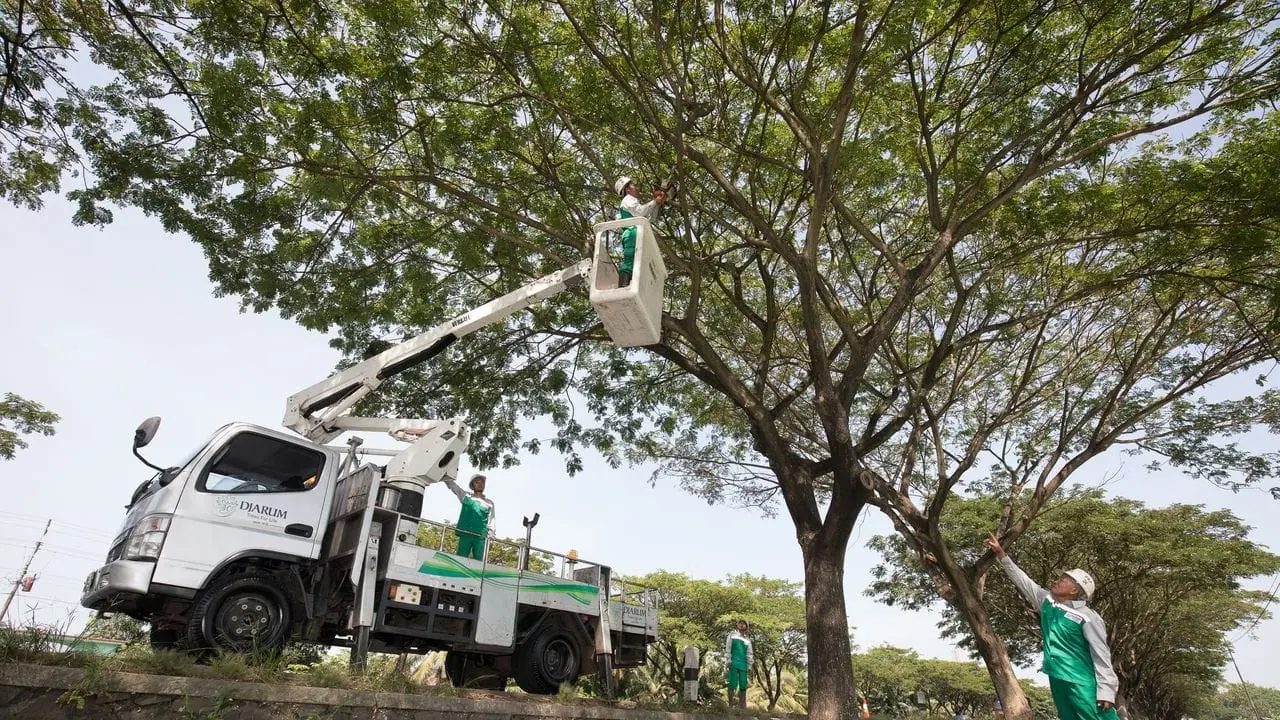 Dukung Pemerintah Capai Net Zero Carbon dengan Tanam Pohon Trembesi
