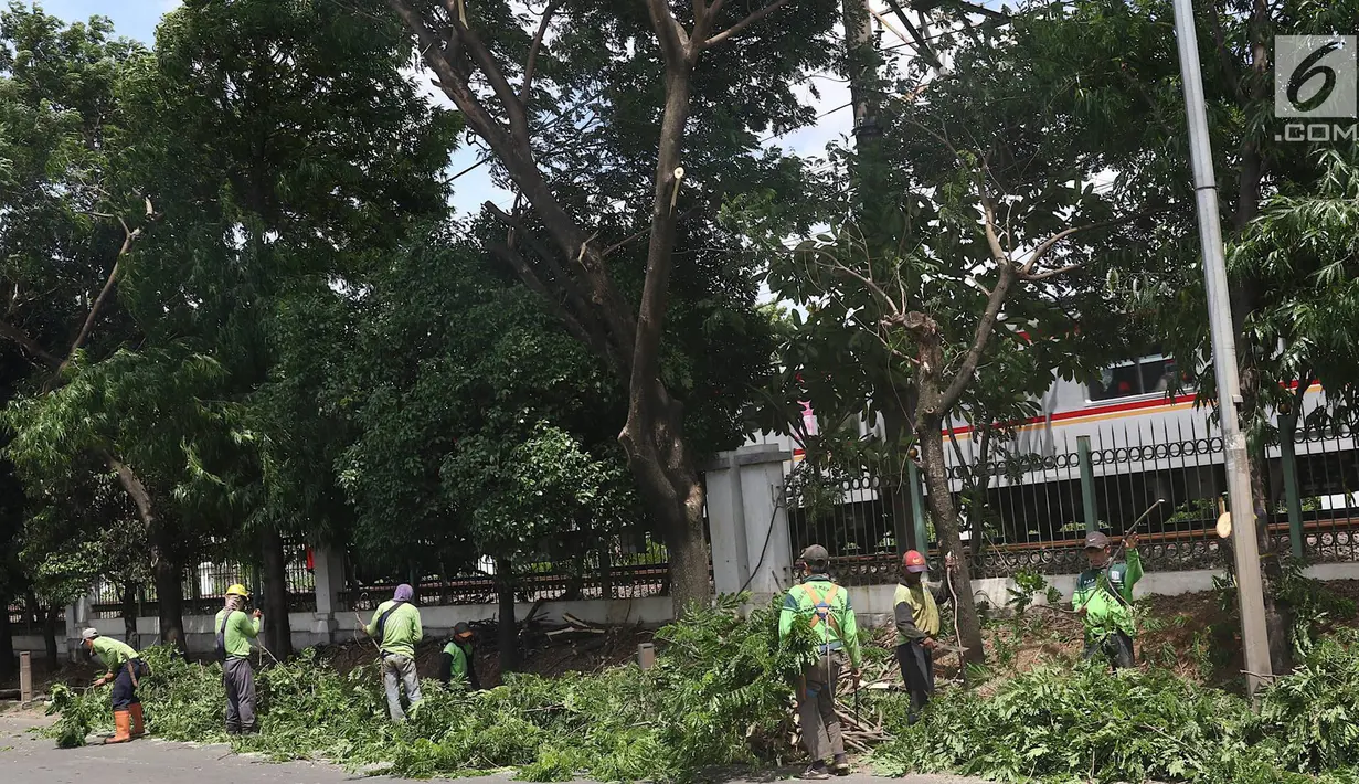 Suasana saat petugas memangkas dahan pohon yang rimbun di sepanjang Jalan Lenteng Agung Raya, Jakarta Selatan, Rabu (2/1). Pemangkasan dilakukan guna mencegah pohon tumbang akibat musim hujan dan angin kencang. (Liputan6.com/Immanuel Antonius)