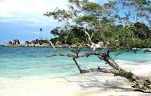 12 Wisata Pantai Malang Terfavorit 2024, Ini Rekomendasinya
