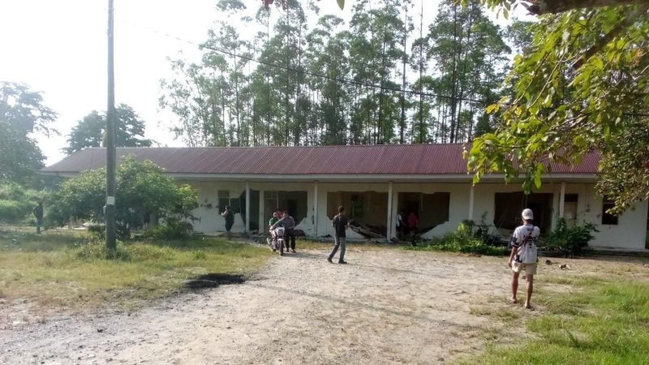 Kawanan Gajah Liar Robohkan Bangunan di Siak Riau, Kerusakan Material Terjadi