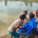 Niat Angkat Jaring Ikan, Warga Pringsewu Malah Temukan Jasad Pria