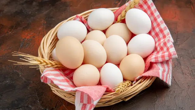 Egg