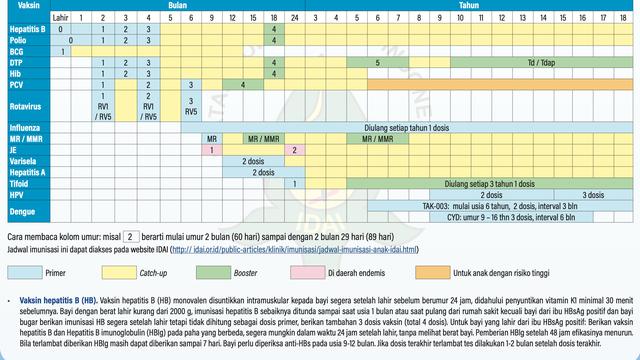 Jadwal Imunisasi Rekomendasi Terbaru 2023