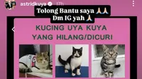 Kucing Uya Kuya yang Hilang. (Instagram/ astridkuya)
