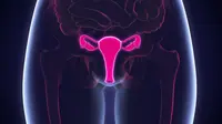 Ilustrasi vagina (iStockphoto)