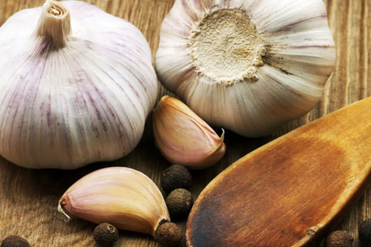(c) shutterstock.com
