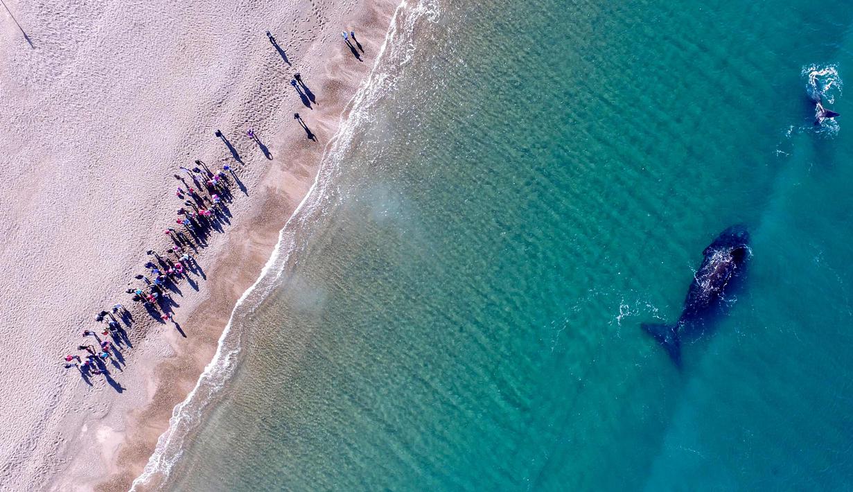 Warga berada di Pantai El Doradillo, Patagonia, Argentina saat paus kanan selatan bermigrasi (30/8). Sejumlah paus bermigrasi setiap tahun dari Antartika ke Patagonia Argentina untuk melahirkan dan memberi makan keturunannya. (AP Photo/Maxi Jonas)
