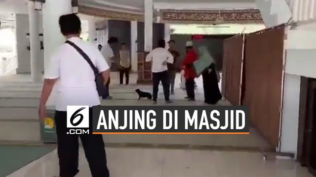 Kronologi Wanita Bawa Anjing Ke Dalam Masjid Bogor
