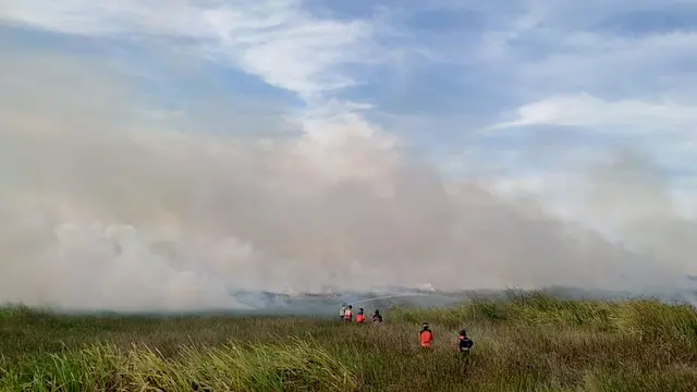 Karhutla Kalimantan Selatan Kalsel Liputan6.com