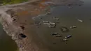 Namun, polusi dan degradasi habitat menjadi ancaman yang signifikan terhadap integritas biologis danau. (Ulises Ruiz / AFP)