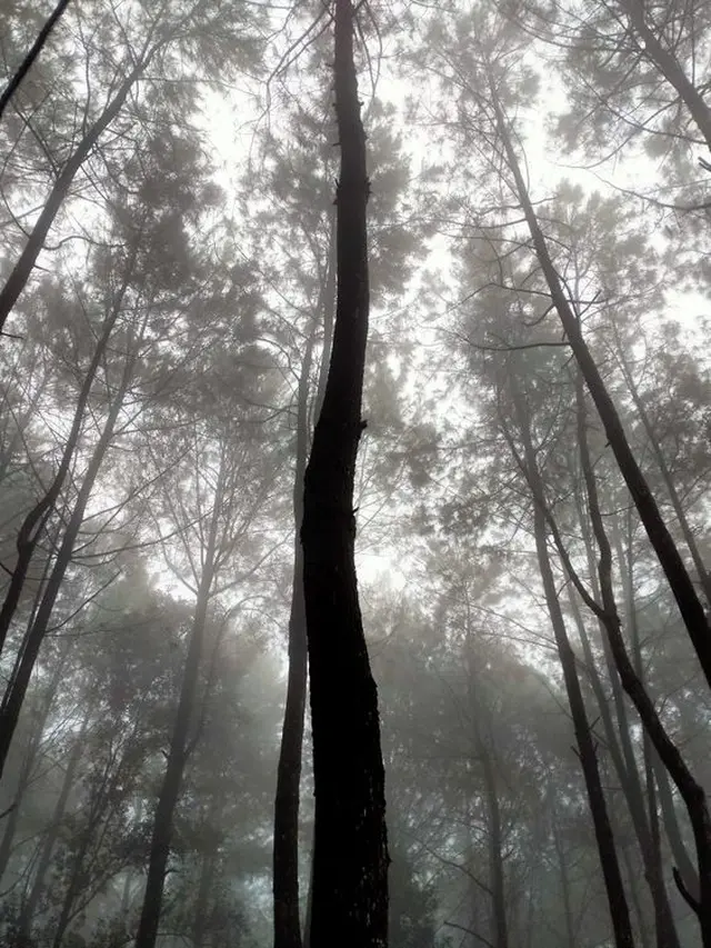 Makam Tanpa Nama di Puncak Gunung Aseupan